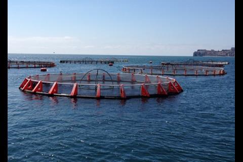 Offshore Mariculture Conference